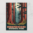 Search for redwood national park postcards Landscape
