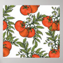 Search for vintage tomato posters Food