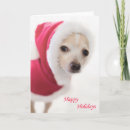 Search for chihuahua christmas cards Dog