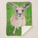 Search for kangaroo blankets Wildlife