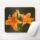 Search for orange lilly electronics Nature
