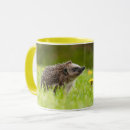 Search for hedgehog baby mugs Germany