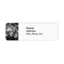 Search for mardi gras mask return address labels New orleans