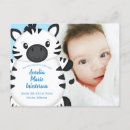 Search for zebra blue Boy