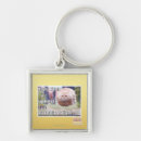 Search for hover key rings I can has cheezburger
