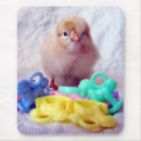 Search for announcement mousepads Bird