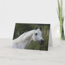 Search for arabs cards Equestrian