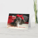 Search for new dog cards Brown