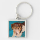 Search for wire key rings Wire fox terrier