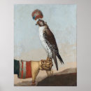 Search for gyrfalcon posters Bird