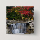 Search for fall colour badges Autumn
