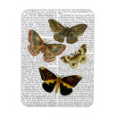 Search for moth magnets Butterfly