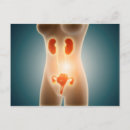 Search for anatomy postcards Human body