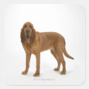 Search for white dog stickers Red