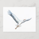 Search for storks postcards Wildlife