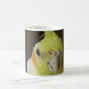 Search for cockatiels mugs Cute