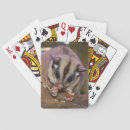 Search for flying squirrel Pocket