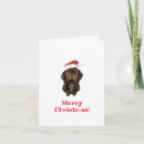 Search for sausage dog cards Puppy
