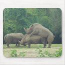 Search for breeding mousepads Nature