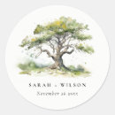 Search for oak stickers Watercolor