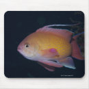 Search for sea side mousepads Animal