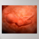 Search for human representation posters Colour image