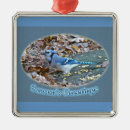 Search for blue jay bird christmas tree decorations Nature