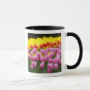 Search for skagit valley mugs Grow