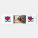 Search for i love cats bumper stickers Humourous