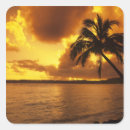 Search for kauai stickers Palm tree