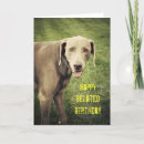 Search for weimaraner birthday cards Funny