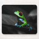 Search for tree frog mousepads Amphibians