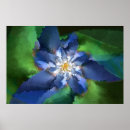 Search for easy decorating art Blue