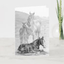 Search for foal cards Mare
