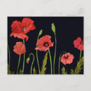 Search for poppy design postcards Floral
