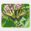 Search for swallowtail mousepads Insects