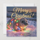 Search for seal cards Winter