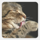 Search for head and shoulders stickers Profile