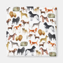 Search for pedigree magnets Pets