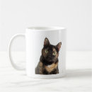 Search for tortoiseshell cat mugs Kitty