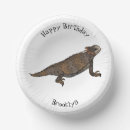 Search for southwest paper bowls Mexico