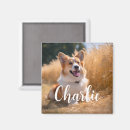 Search for in loving memory magnets Pet