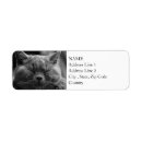 Search for nose return address labels Cat