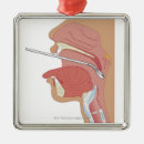 Search for metal work posters Medical