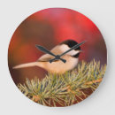 Search for atlas clocks Blue atlas cedar
