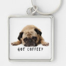 Search for pug humour key rings Pugs