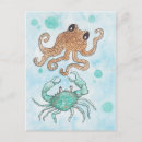 Search for octopuses Underwater