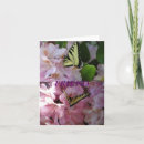 Search for swallowtail butterfly cards Thinking of you