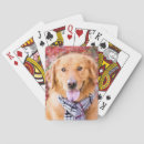 Search for golden retriever playing cards Cute