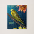 Search for budgie puzzles Blue